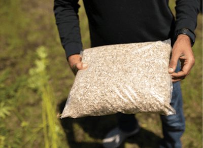 20200624 Hemp Grower 060 Fmt