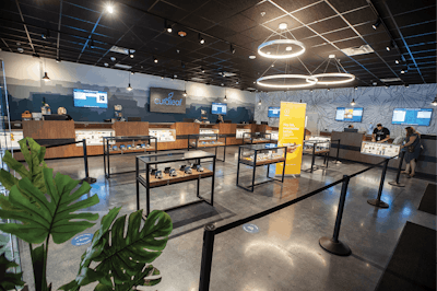 Bn Ware Ma 1789 Courtesyof Curaleaf Fmt