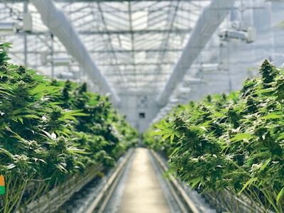 Fullsizeoutput 125f Fmt