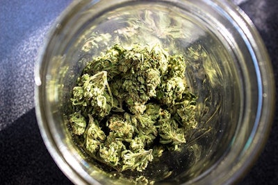 Marijuanain Jar Adobe Stock Credit Dratheverliving Resized