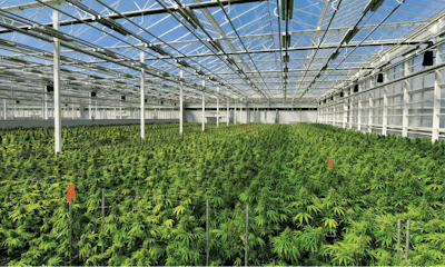 Tgod High Res Open Image New Fmt