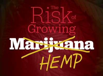 The Risk Of Growing Marijuana Fmt