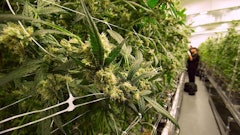 Adobe Stock220336268