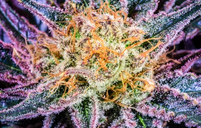 Adobe Stock 140164950 Fmt