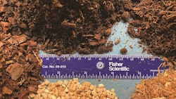 Fig1