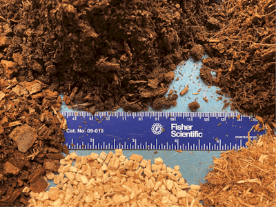 Figure 1 Fmt