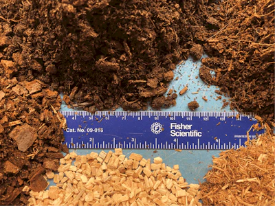 Figure 1 Fmt