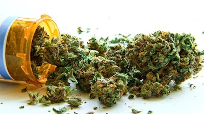Medical Cannabis Stock