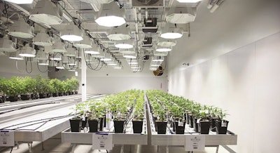 Wellness Connection Grow Rooms (1)