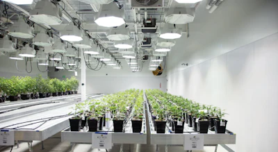Wellness Connection Grow Rooms (1) Fmt