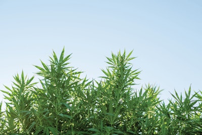 Adobe Stock 237065754 Fmt