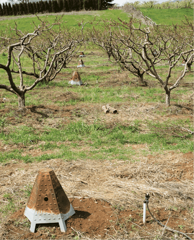 Adobe Stock 68620465 Fmt