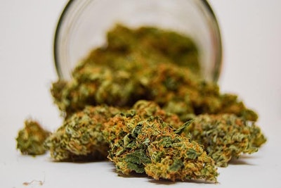 Cannabis Buds