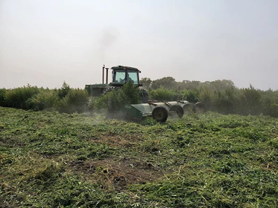 iowa hemp harvest