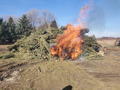 hot hemp iowa
