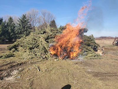 hot hemp iowa