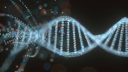 Dna