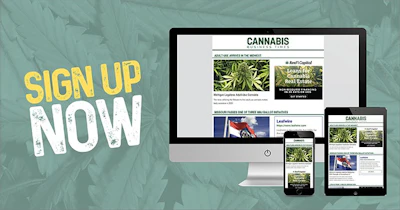 cbt newsletter