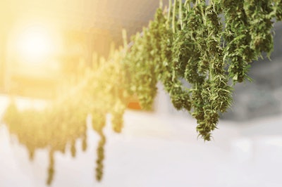 I Stock 1184275007 Fmt