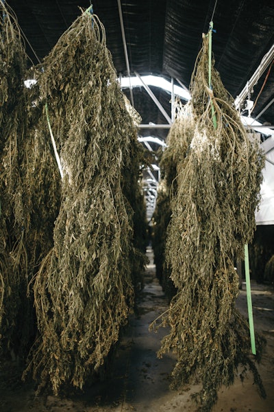 Los Suenos Farms037 Fmt