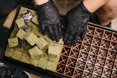 Los Suenos Farms064 Fmt