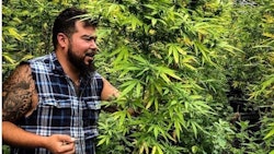 Luis Vega