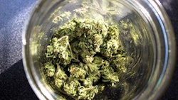Marijuanain Jar Adobe Stock Credit Dratheverliving Resized