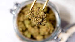 LOWD Wifi bud over jar