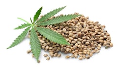 Adobe Stock170639750