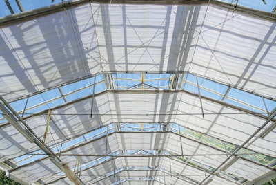 Adobe Stock 116640396 Fmt