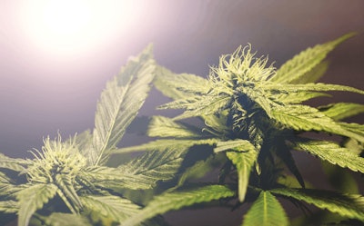 Adobe Stock 307348313 Fmt