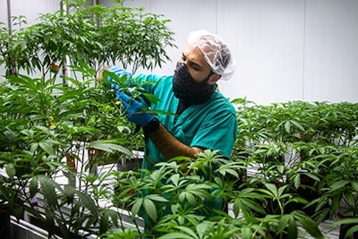 Cultivation facility nj2 Curaleaf