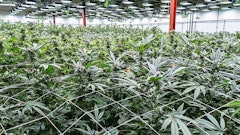 Curaleaf has 23 cultivation sites, including this facility in New Jersey.