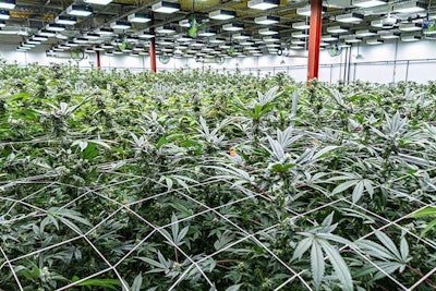 Curaleaf has 23 cultivation sites, including this facility in New Jersey.