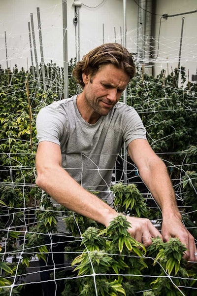 D7 D8 F077 5 E4 B 4 Ccf 8459 E1 B0319 F045 B 1 105 C