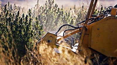 Eco Gen Cultivation11