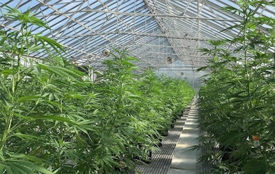 Hg Greenhouse