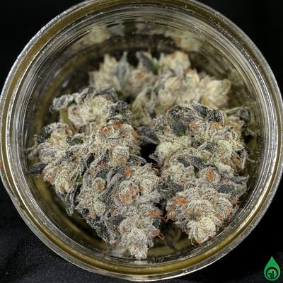 Hsb Dry Green Dot Labs Resized