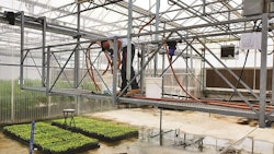 Irrigation