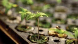 I Stock 1194009105 Fmt