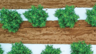 Plasticmulch Use