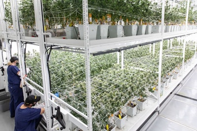 12 14 20 Employees At Work Flower Room By Jill Jasuta 7599 Resized