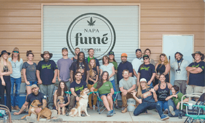 13 Napa Fume Group Fmt