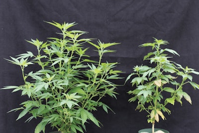 1 Figure2818 Copy Fmt