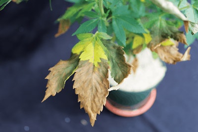 4 Figure3122 Copy Fmt