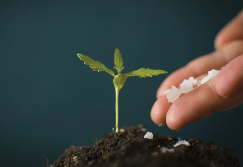 Triacontanol powder manufacturer Triacontanol powder manufacturer