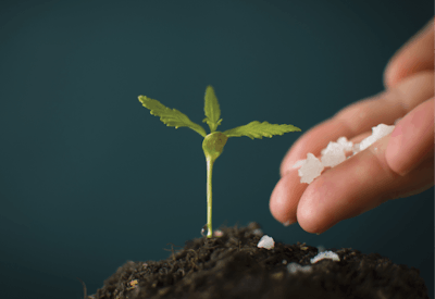 Adobe Stock 202342099 Fmt