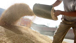 Animal Feed