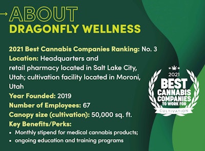 Best Companies 2021 Story Sidebar Image Template Dragonfly