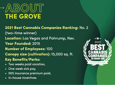 Best Companies 2021 Story Sidebar Image Template The Grove Fmt